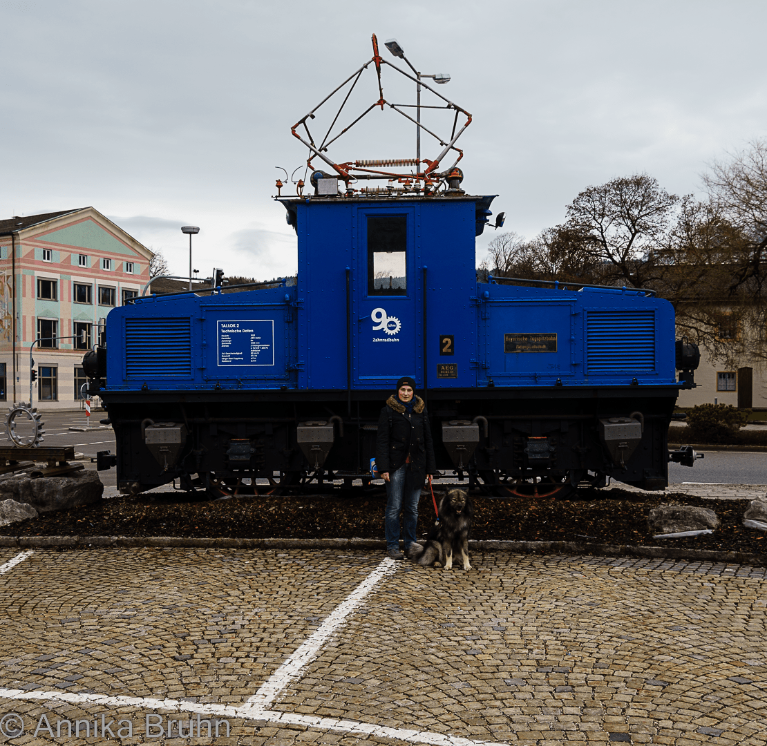 Die Zahnradbahn mit Mir und Q